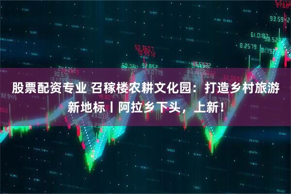 股票配资专业 召稼楼农耕文化园：打造乡村旅游新地标丨阿拉乡下头，上新！