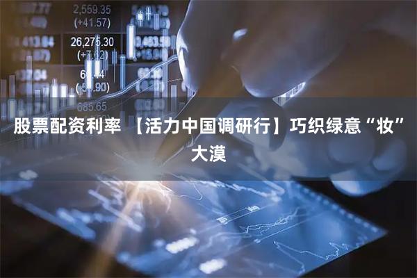 股票配资利率 【活力中国调研行】巧织绿意“妆”大漠